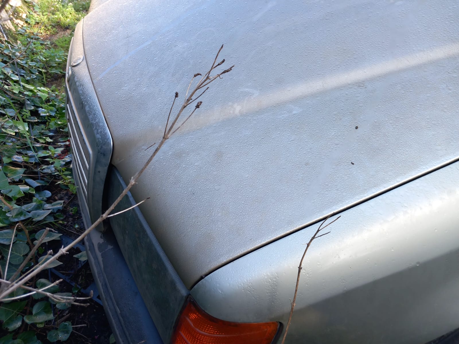 MERCEDES 300D